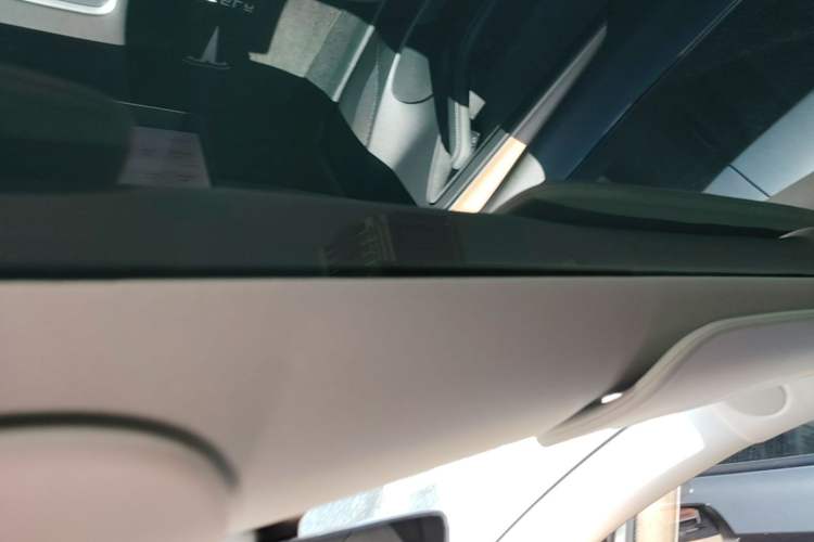 Used Tesla Model 3 2022 Rear-Wheel-Drive Version Headliner