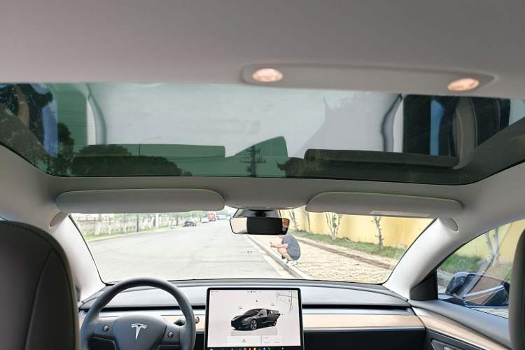 Used Tesla Model 3 2022 Rear-Wheel-Drive Version Headliner