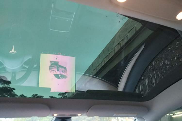 Used Tesla Model 3 2022 Rear-Wheel-Drive Version Headliner