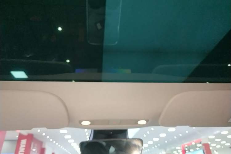 Used Tesla Model 3 2022 Rear-Wheel-Drive Version Headliner