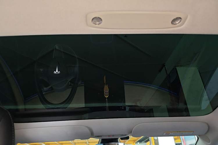Used Tesla Model 3 2022 Rear-Wheel-Drive Version Headliner