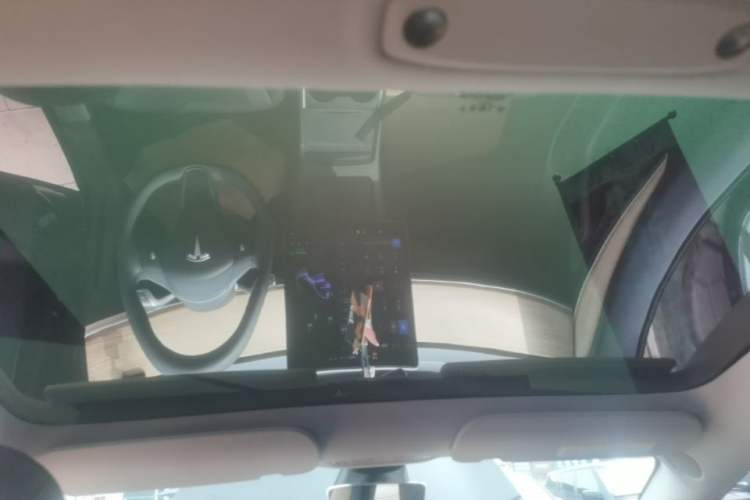 Used Tesla Model 3 2022 Rear-Wheel-Drive Version Headliner