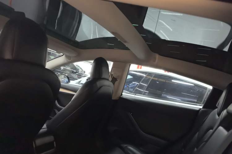 Used Tesla Model 3 2022 Rear-Wheel-Drive Version Headliner