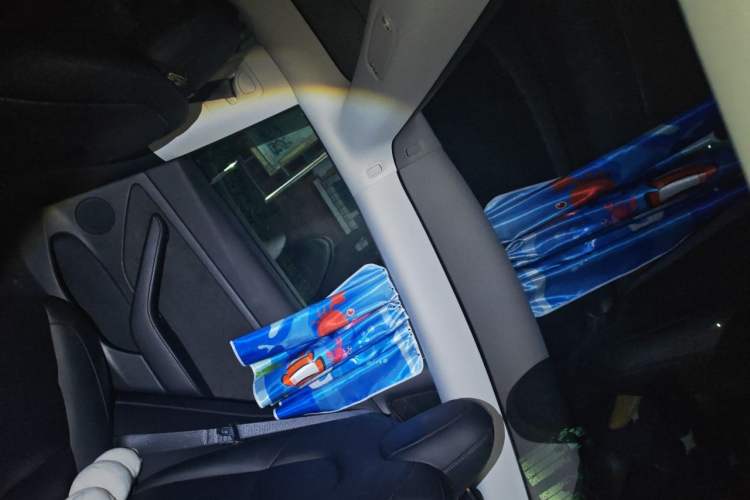 Used Tesla Model 3 2022 Rear-Wheel-Drive Version Headliner