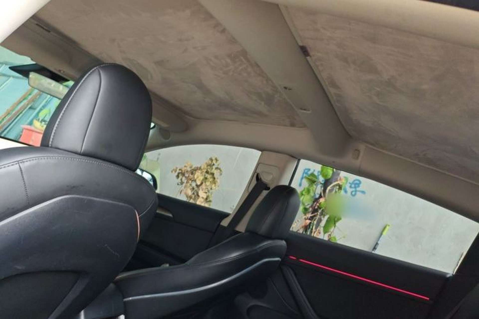Used Tesla Model 3 2022 Performance High-Performance All-Wheel-Drive Version Headliner