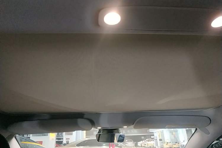 Used Tesla Model 3 2022 Rear-Wheel-Drive Version Headliner