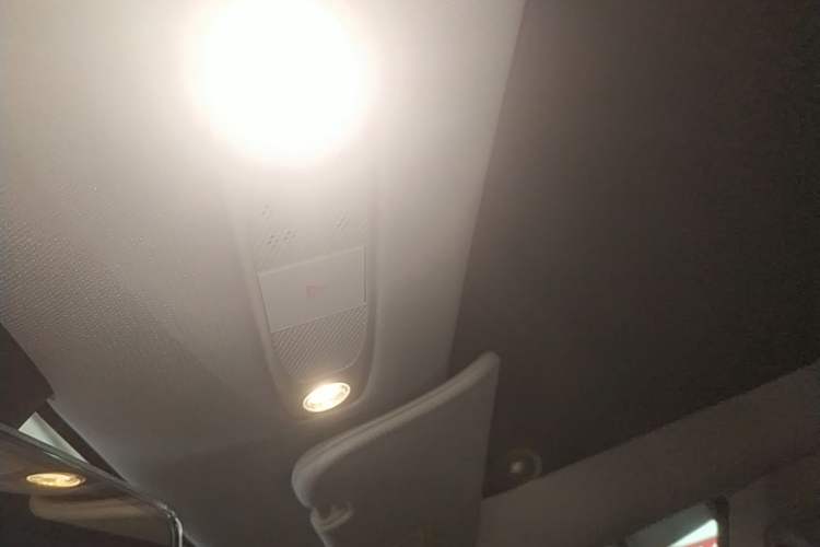 Used Tesla Model 3 2022 Rear-Wheel-Drive Version Headliner
