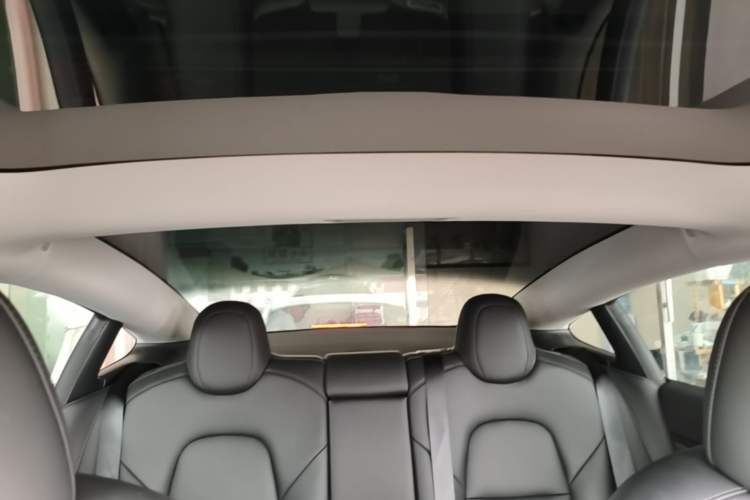 Used Tesla Model 3 2022 Rear-Wheel-Drive Version Headliner