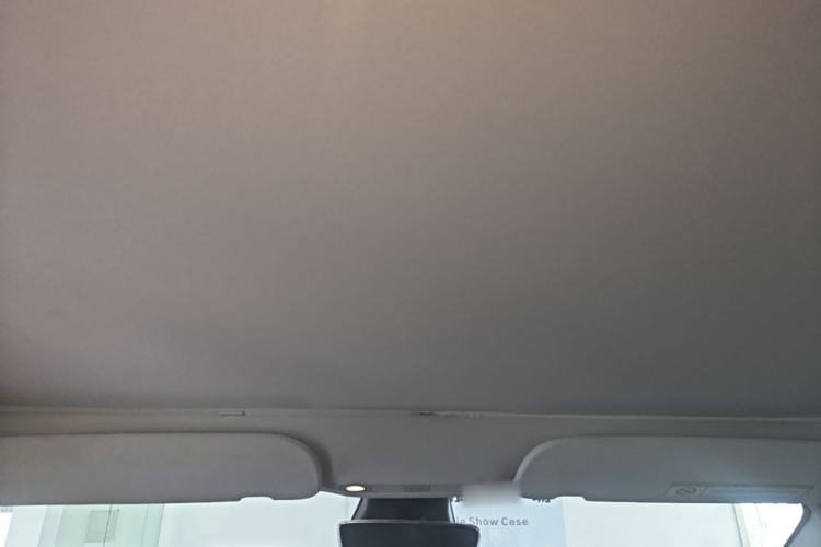 Used Tesla Model 3 2022 Rear-Wheel-Drive Version Headliner