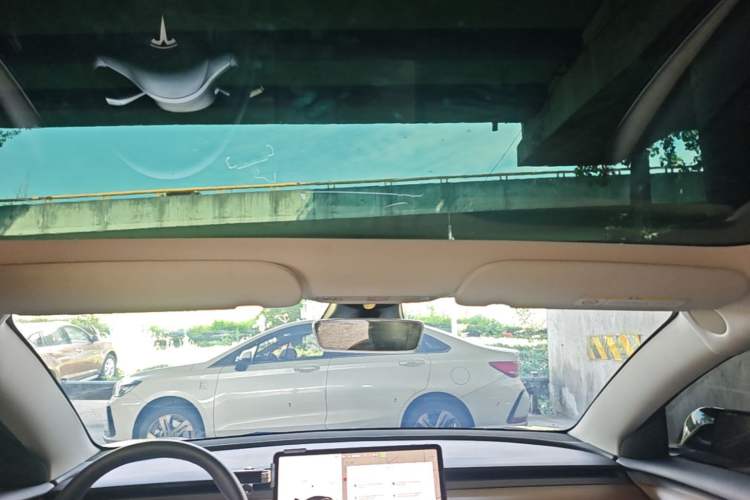 Used Tesla Model 3 2022 Rear-Wheel-Drive Version Headliner