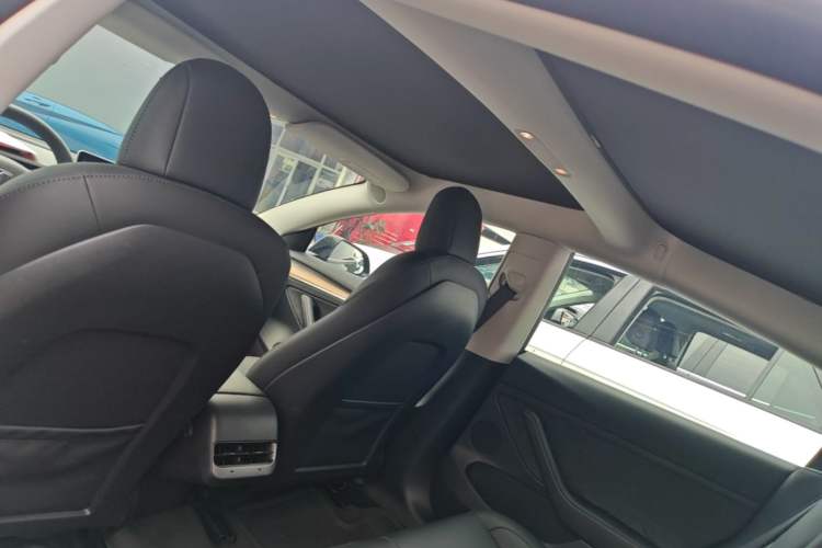 Used Tesla Model 3 2022 Rear-Wheel-Drive Version Headliner