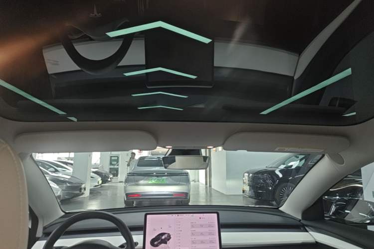 Used Tesla Model 3 2022 Performance High-Performance All-Wheel-Drive Version Headliner