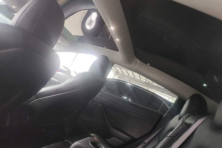 Used Tesla Model 3 2022 Rear-Wheel-Drive Version Headliner
