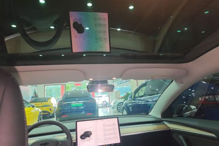 Used Tesla Model 3 2022 Rear-Wheel-Drive Version Headliner
