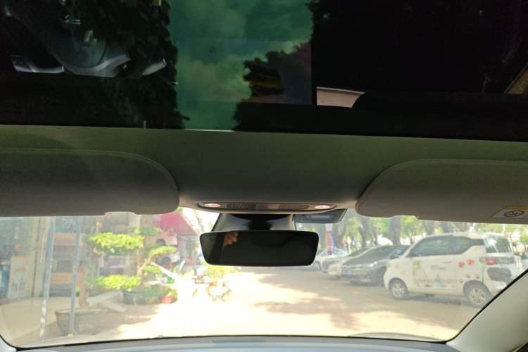 Used Tesla Model 3 2022 Performance High-Performance All-Wheel-Drive Version Headliner