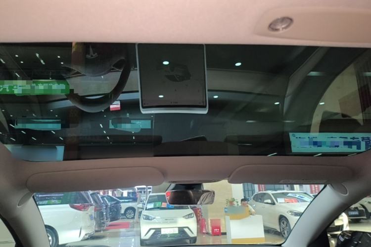 Used Tesla Model 3 2022 Rear-Wheel-Drive Version Headliner