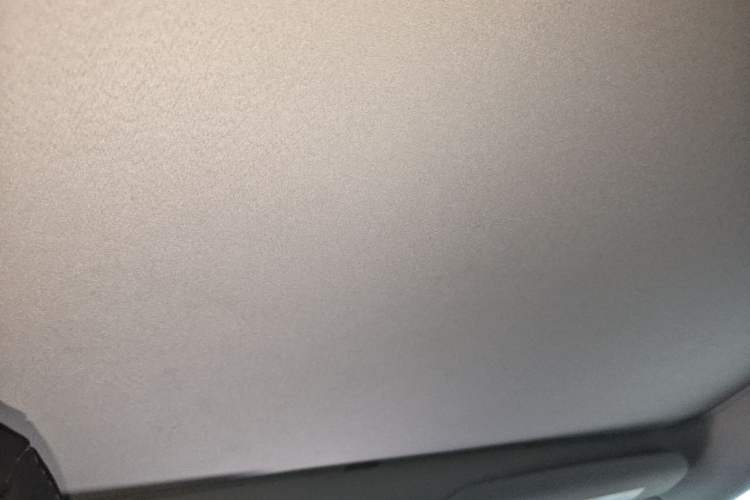 Used Tesla Model 3 2022 Performance High-Performance All-Wheel-Drive Version Headliner
