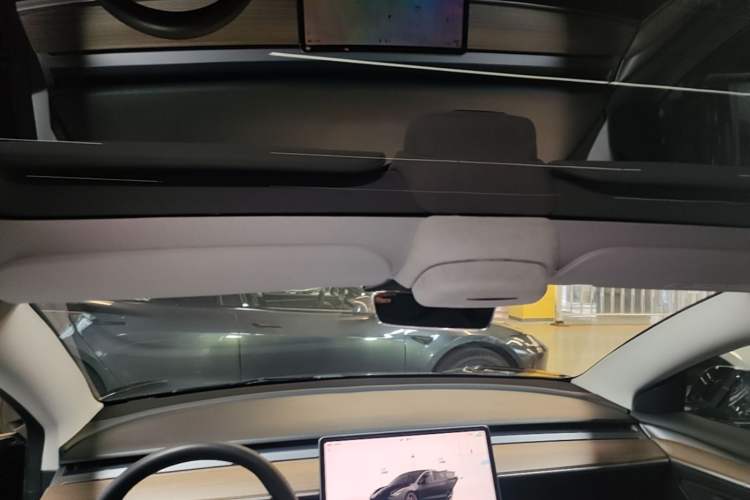 Used Tesla Model 3 2022 Performance High-Performance All-Wheel-Drive Version Headliner