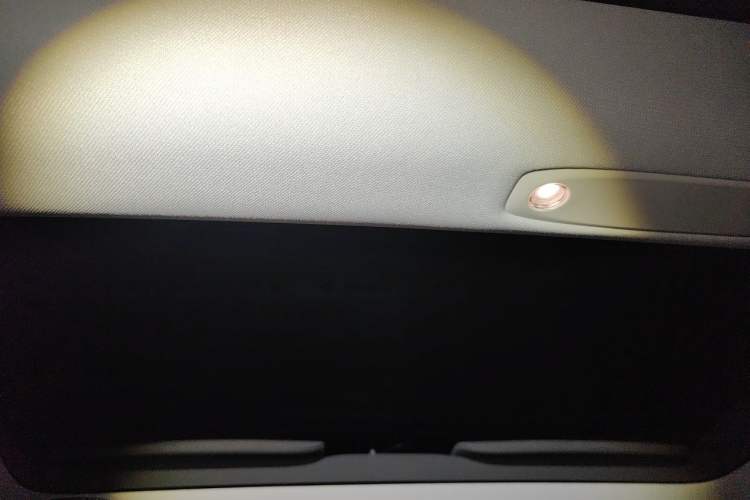 Used Tesla Model 3 2022 Rear-Wheel-Drive Version Headliner