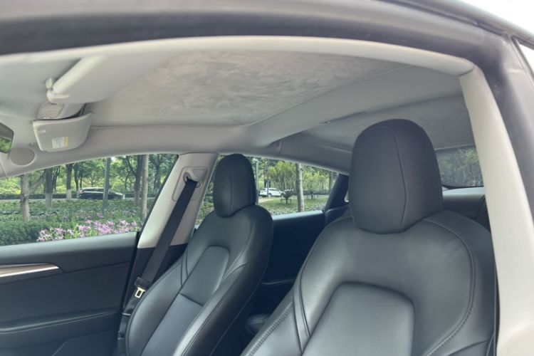 Used Tesla Model 3 2022 Rear-Wheel-Drive Version Headliner
