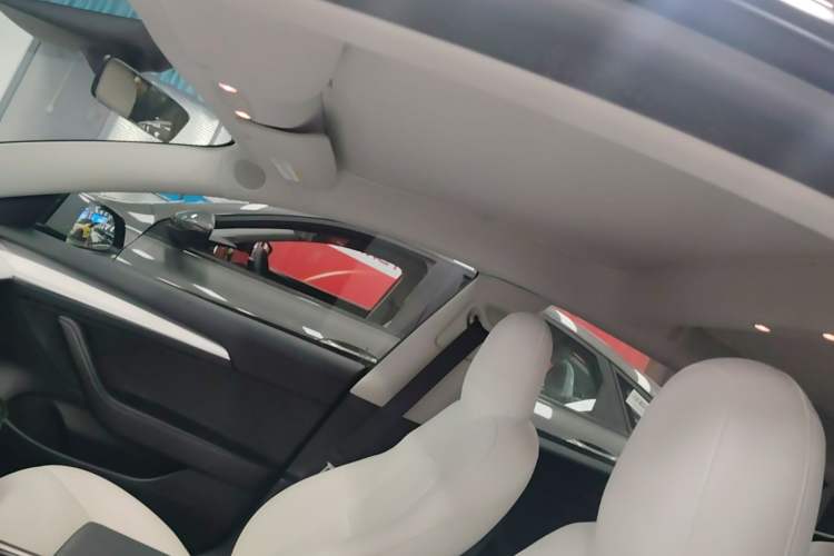 Used Tesla Model 3 2022 Performance High-Performance All-Wheel-Drive Version Headliner