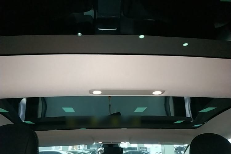 Used Tesla Model 3 2022 Rear-Wheel-Drive Version Headliner