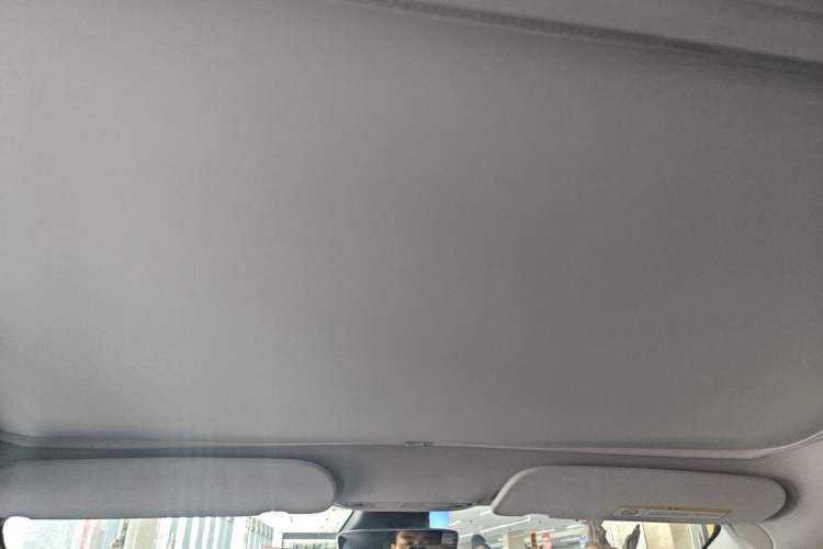 Used Tesla Model 3 2022 Rear-Wheel-Drive Version Headliner