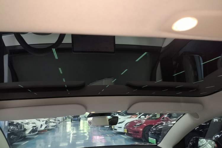 Used Tesla Model 3 2022 Rear-Wheel-Drive Version Headliner