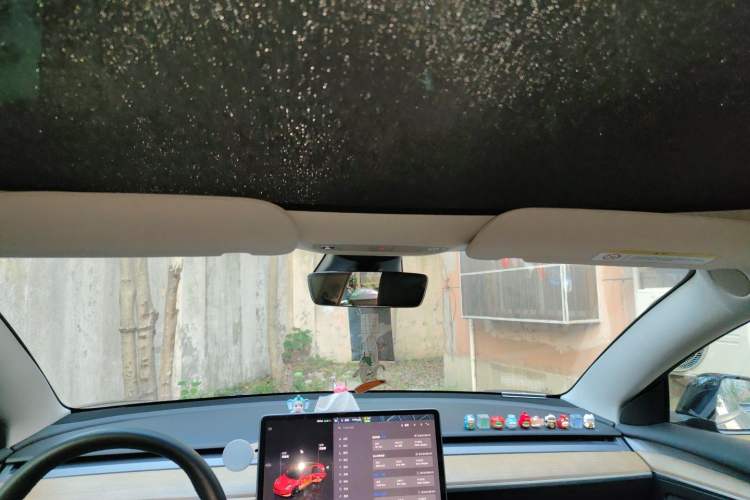 Used Tesla Model 3 2022 Rear-Wheel-Drive Version Headliner