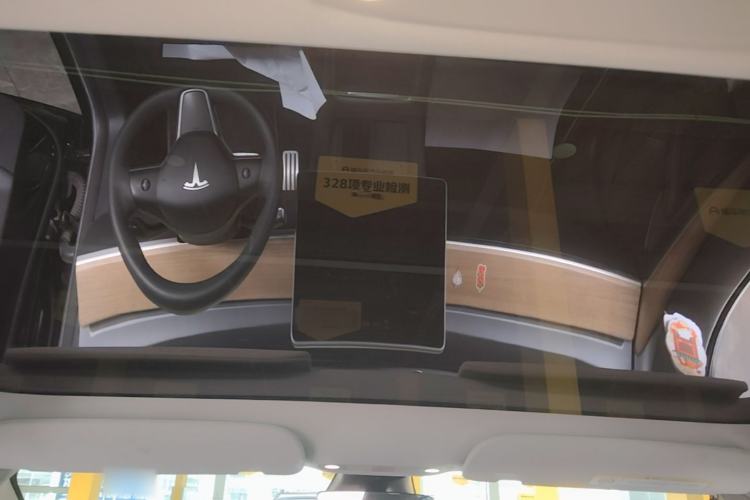 Used Tesla Model 3 2022 Performance High-Performance All-Wheel-Drive Version Headliner