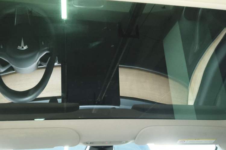 Used Tesla Model 3 2022 Rear-Wheel-Drive Version Headliner