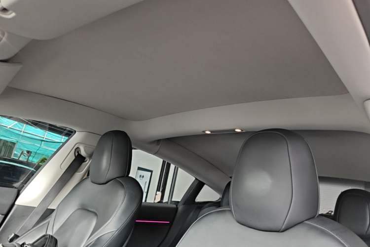 Used Tesla Model 3 2022 Performance High-Performance All-Wheel-Drive Version Headliner