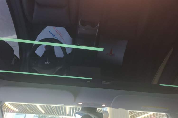 Used Tesla Model 3 2022 Rear-Wheel-Drive Version Headliner