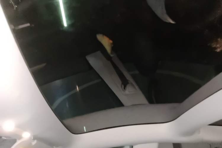 Used Tesla Model 3 2022 Rear-Wheel-Drive Version Headliner