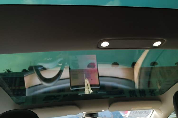 Used Tesla Model 3 2022 Rear-Wheel-Drive Version Headliner