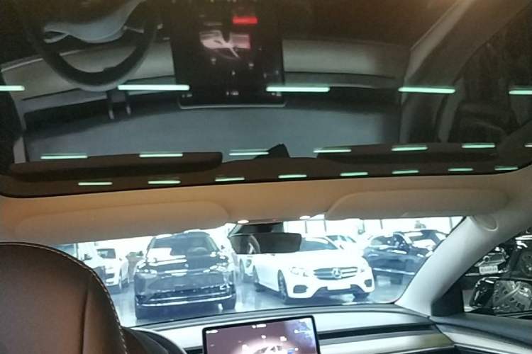 Used Tesla Model 3 2022 Rear-Wheel-Drive Version Headliner