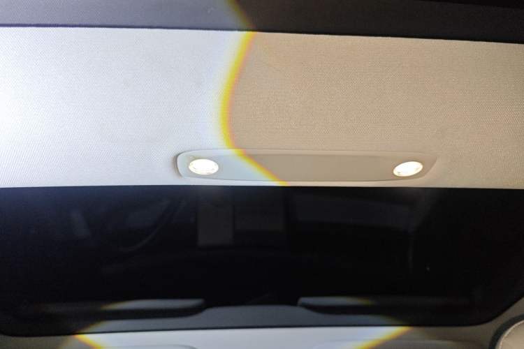 Used Tesla Model 3 2022 Performance High-Performance All-Wheel-Drive Version Headliner