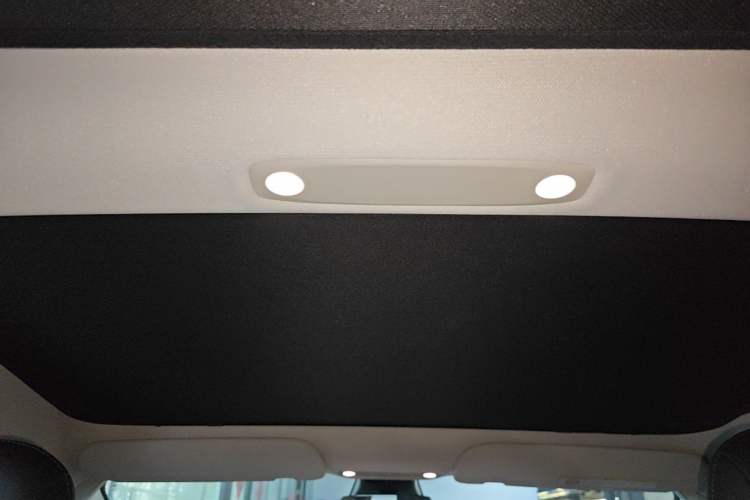 Used Tesla Model 3 2022 Rear-Wheel-Drive Version Headliner