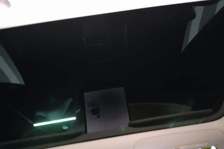 Used Tesla Model 3 2022 Rear-Wheel-Drive Version Headliner
