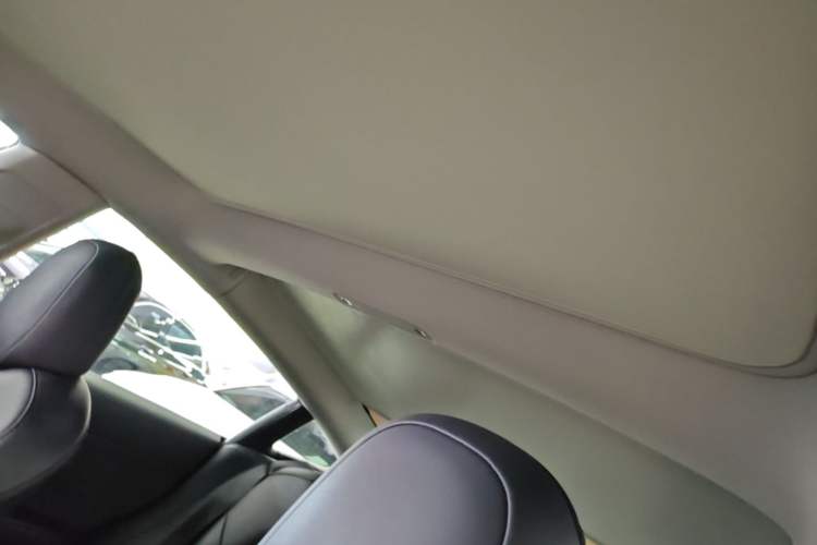 Used Tesla Model 3 2022 Rear-Wheel-Drive Version Headliner