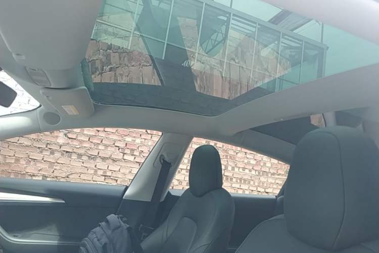 Used Tesla Model 3 2022 Rear-Wheel-Drive Version Headliner
