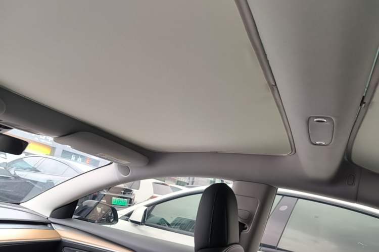 Used Tesla Model 3 2022 Rear-Wheel-Drive Version Headliner