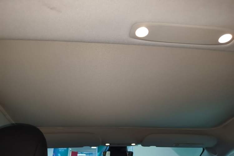 Used Tesla Model 3 2022 Rear-Wheel-Drive Version Headliner
