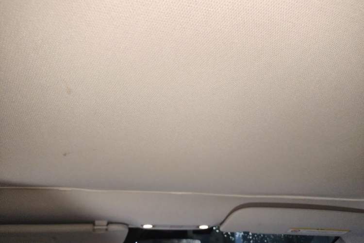 Used Tesla Model 3 2022 Rear-Wheel-Drive Version Headliner