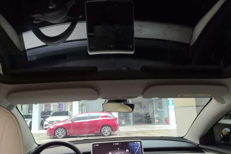 Used Tesla Model 3 2022 Performance High-Performance All-Wheel-Drive Version Headliner