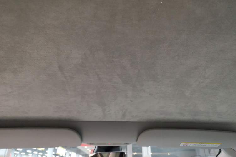 Used Tesla Model 3 2022 Rear-Wheel-Drive Version Headliner
