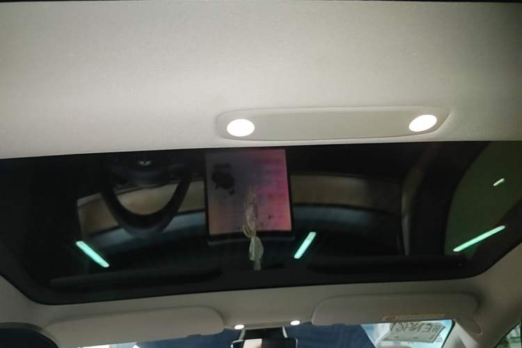Used Tesla Model 3 2022 Rear-Wheel-Drive Version Headliner