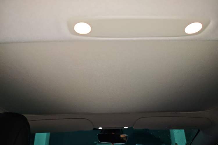 Used Tesla Model 3 2022 Rear-Wheel-Drive Version Headliner