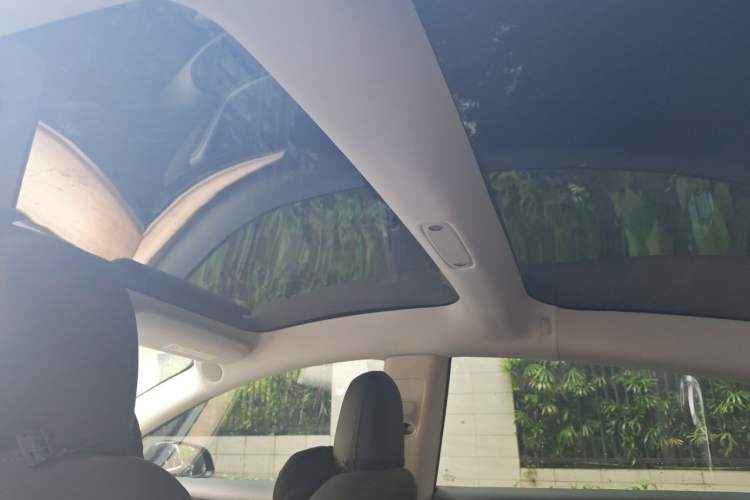Used Tesla Model 3 2022 Performance High-Performance All-Wheel-Drive Version Headliner