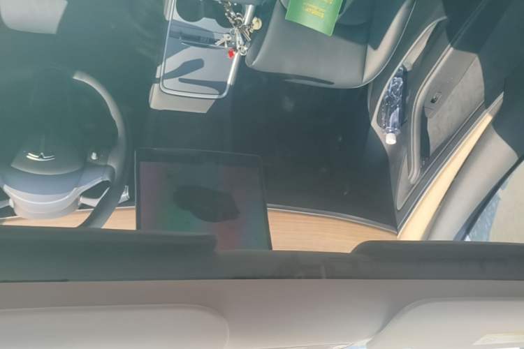 Used Tesla Model 3 2022 Rear-Wheel-Drive Version Headliner